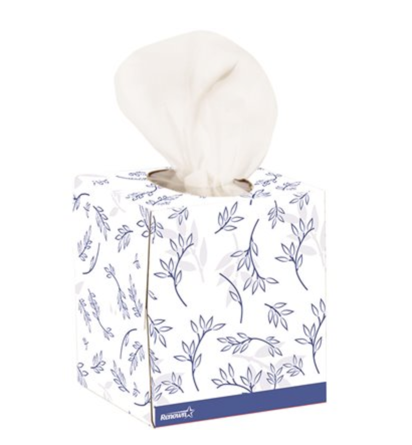 Renown 2-Ply Cube Box Facial Tissue